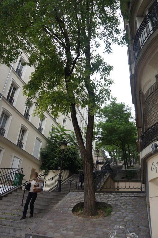 Studios De Charme A Montmartre Paříž Exteriér fotografie